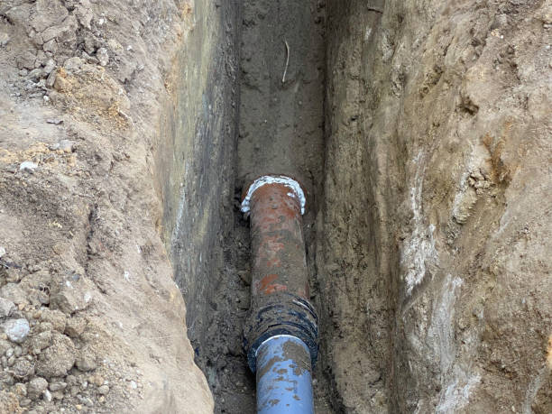 Best Professional water damage repair  in Plainsboro Center, NJ
