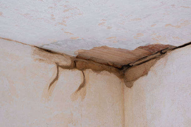 Best Water damage cleanup near me  in Plainsboro Center, NJ