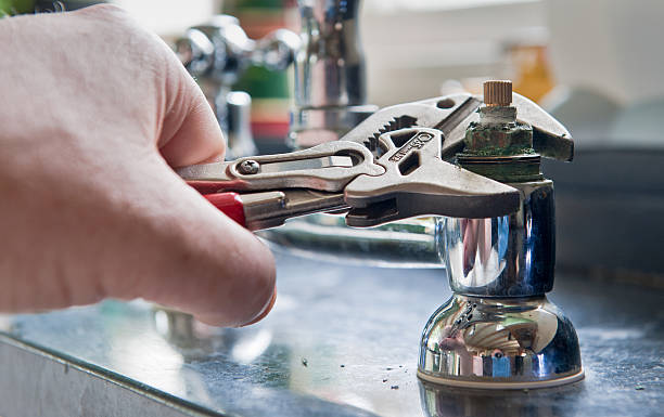 Best Flood damage cleanup  in Plainsboro Center, NJ