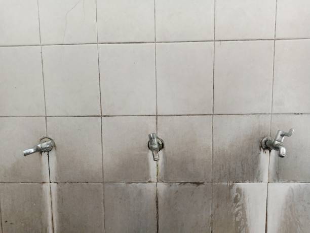 Best Water damage restoration services  in Plainsboro Center, NJ
