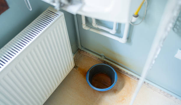 Best Basement water damage restoration  in Plainsboro Center, NJ