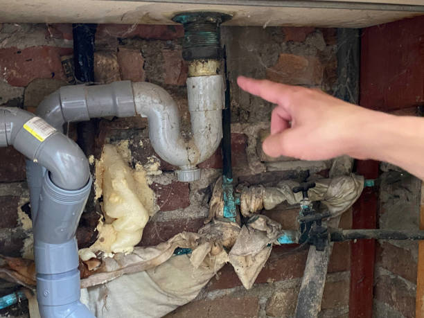 Best Water damage restoration near me  in Plainsboro Center, NJ